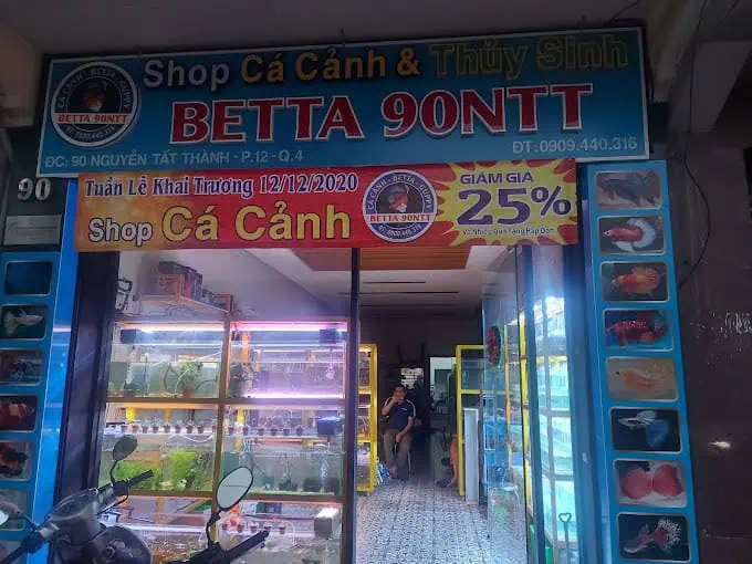 Shop cá cảnh 90NTT