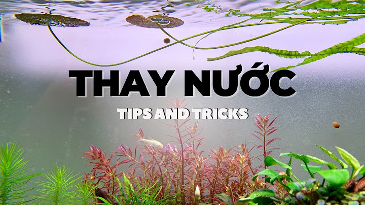 cach thay nuoc ho ca 6879bde48285c